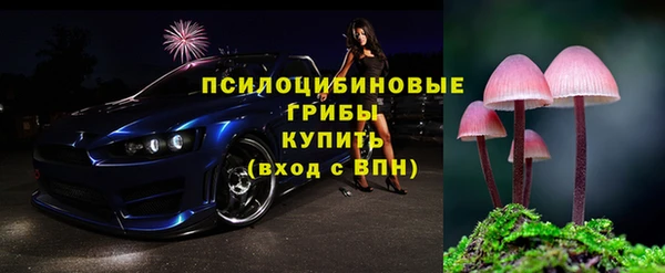сатива Абдулино