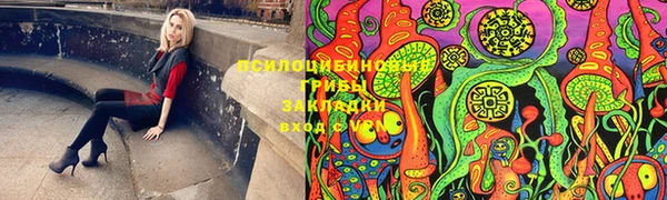 a pvp Абинск