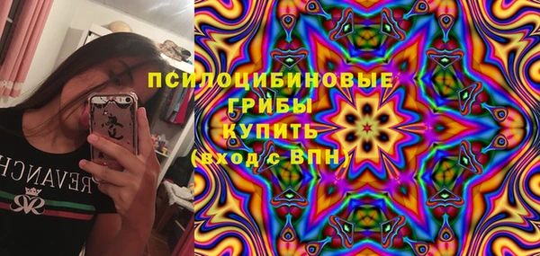 сатива Абдулино