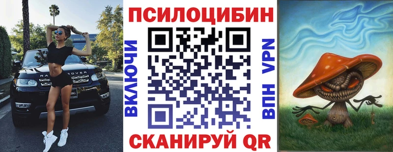Псилоцибиновые грибы прущие грибы  где найти наркотики  Вичуга 